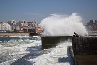 Foz do Douro